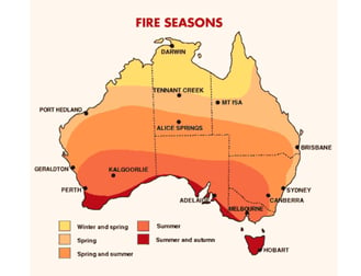 Fire Season